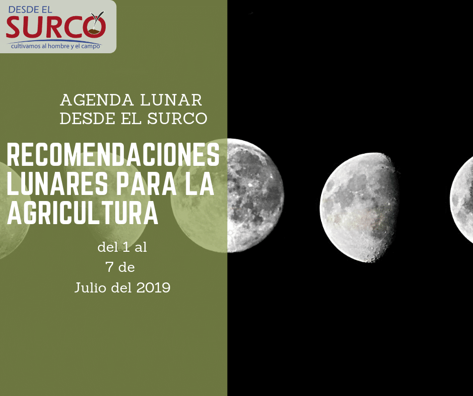 Recomedaciones Agrícolas - Lunares Desde EL Surco -2019